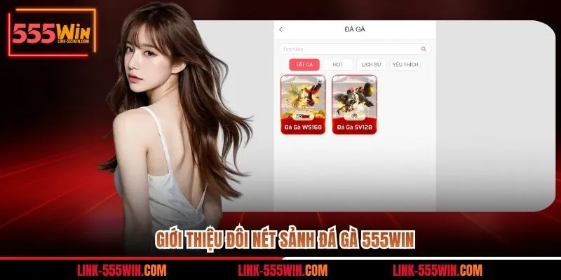 Giới thiệu đôi nét sảnh đá gà 555win