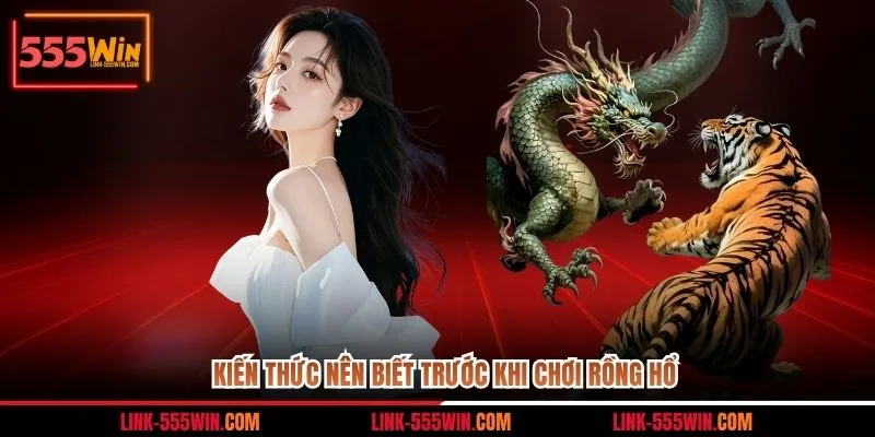 Kiến thức nên biết trước khi chơi Rồng Hổ